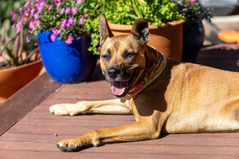Athena, the best girl