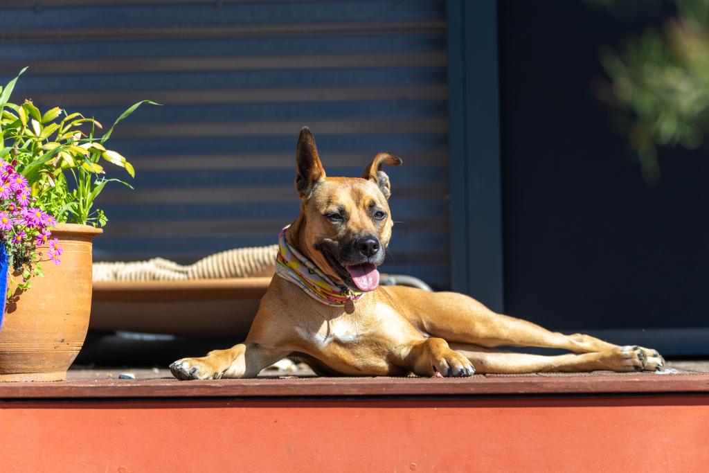 Athena, the best girl