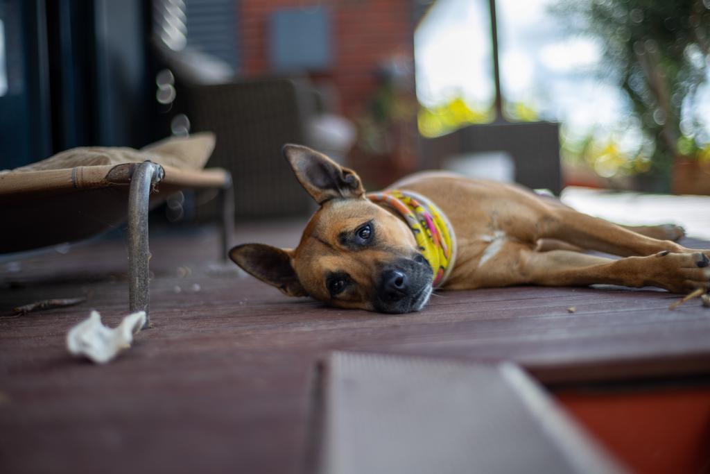 Athena, the best girl