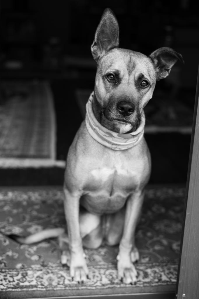 Athena, the best girl